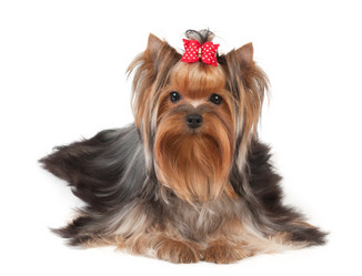 Similar image 6048035