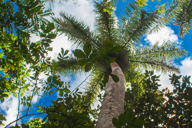 Similar image 6048177