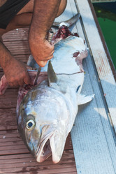 Similar image 6048185