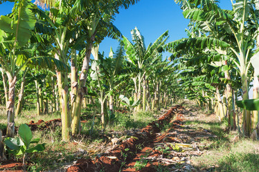 Similar image 6048196