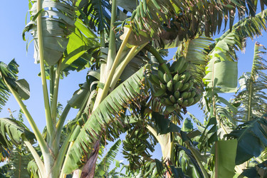 Similar image 6048204