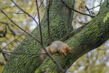 Similar image 6048222