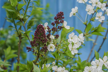 Similar image 6048223