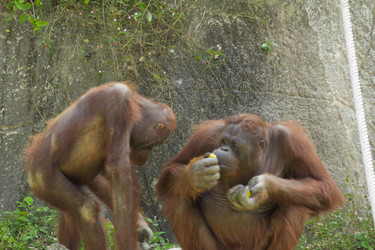 Similar image 6048270