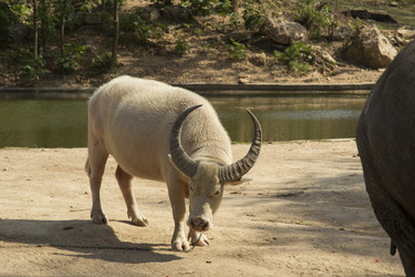 Similar image 6048274