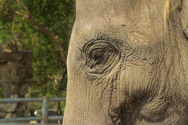 Similar image 6048275