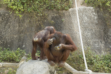 Similar image 6048277