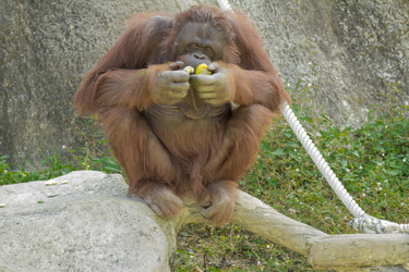 Similar image 6048278