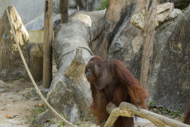 Similar image 6048279