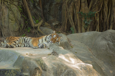 Similar image 6048283