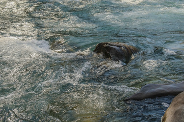 Similar image 6048284