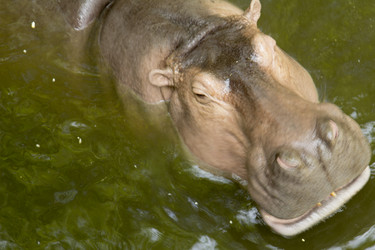 Similar image 6048297