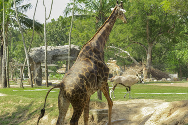 Similar image 6048299