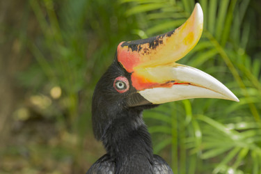 Similar image 6048300