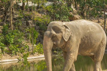 Similar image 6048305