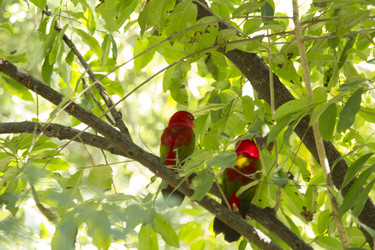 Similar image 6048307