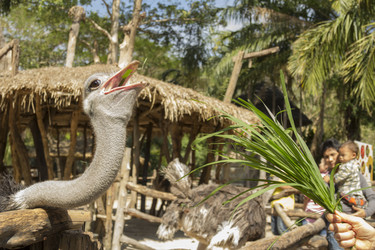 Similar image 6048308