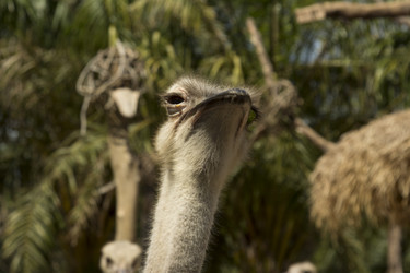 Similar image 6048310