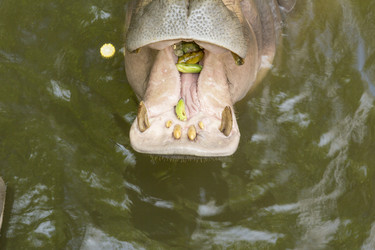 Similar image 6048311