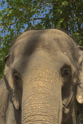 Similar image 6048313