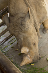 Similar image 6048317