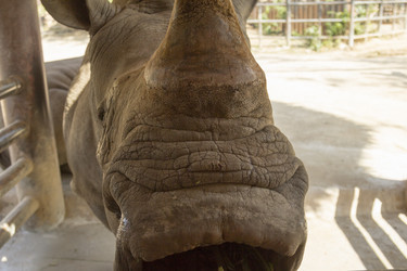 Similar image 6048318