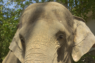 Similar image 6048319