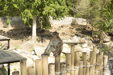 Similar image 6048320