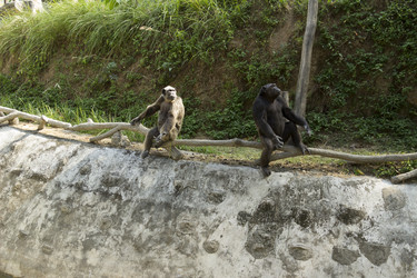 Similar image 6048323