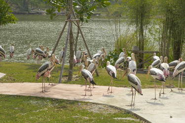 Similar image 6048338