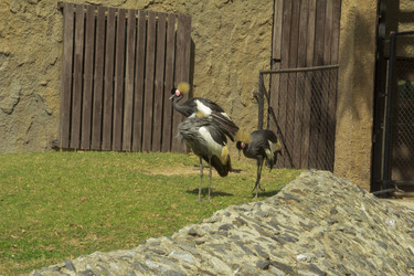 Similar image 6048339