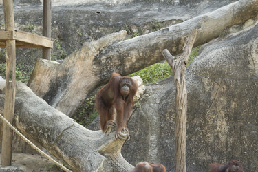 Similar image 6048341