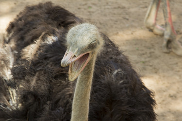 Similar image 6048342