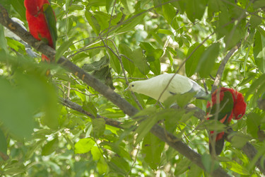 Similar image 6048343