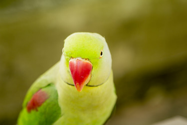 Similar image 6048345