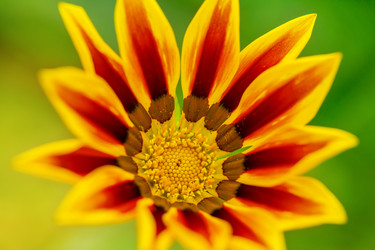 Similar image 6048452