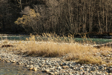 Similar image 6048464