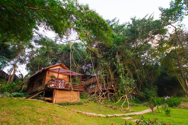 Similar image 6048539