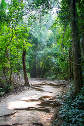 Similar image 6048541