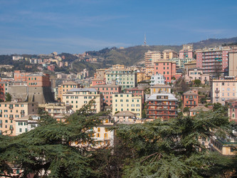 Similar image 6048588