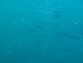 Similar image 6048592