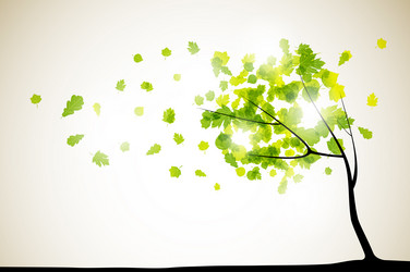 Similar image 6048797