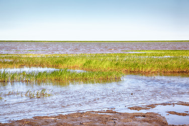 Similar image 6049082