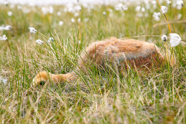 Similar image 6049106