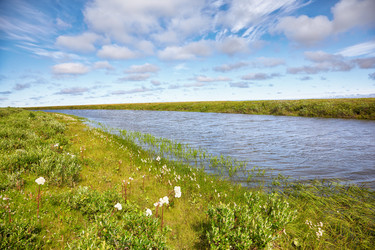 Similar image 6049127