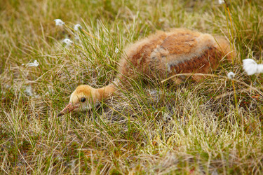 Similar image 6049133