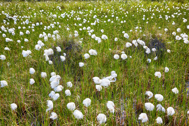 Similar image 6049135