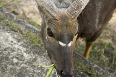 Similar image 6049163