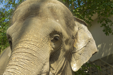 Similar image 6049184