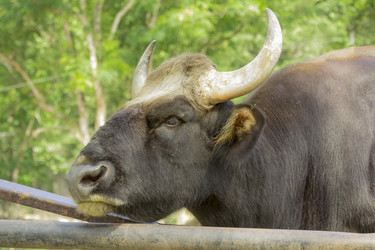 Similar image 6049188